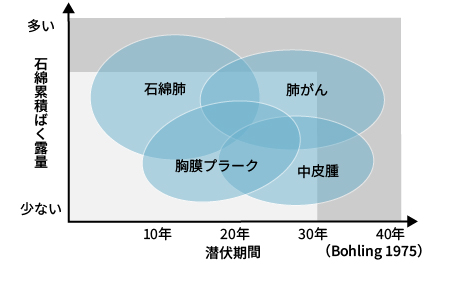 アスベスト