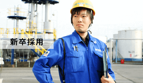 新卒採用